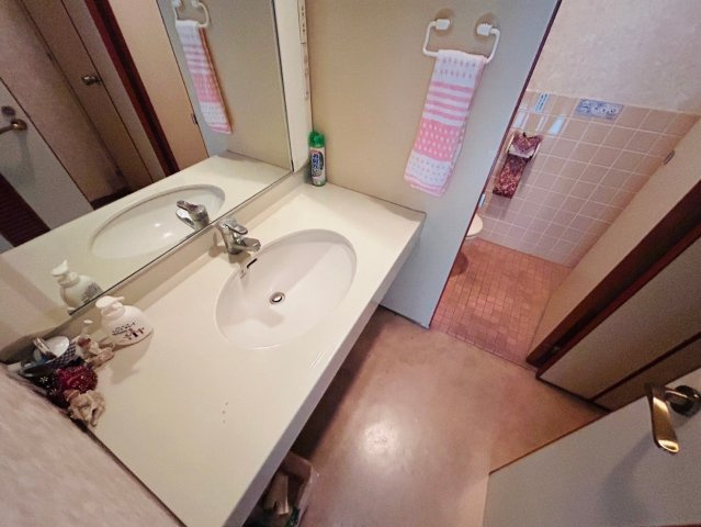 ハイツ原パートⅡの洗面所