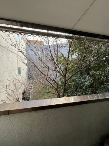 PIAの展望|PIA