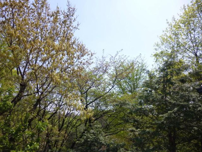 【展望】 | 中村タウンハウス-再契約型　定期借家-