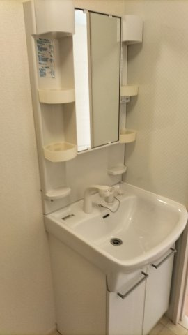 大野駅徒歩5分　ピオニーハウス(家賃半額補助対象物件）の独立洗面台|独立洗面化粧台が付いています