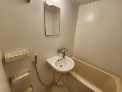 ジュネス二条の洗面所