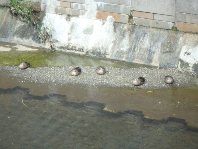 ローズハウスの周辺