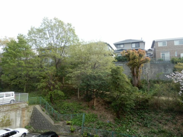 ソフィア朝霧の展望