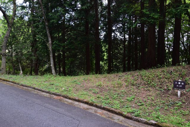 【外観】 | 東急天城高原別荘地　売地