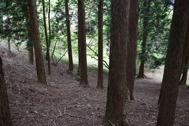 【外観】 | 東急天城高原別荘地　売地