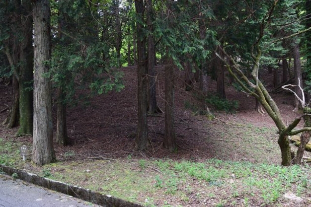 【外観】 | 東急天城高原別荘地　売地