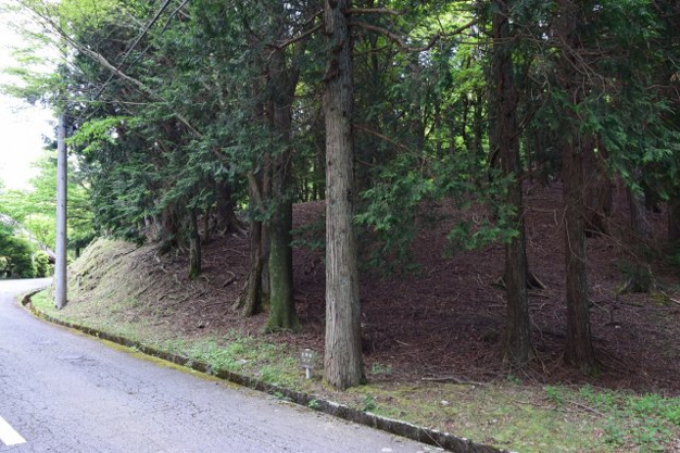 【外観】 | 東急天城高原別荘地　売地