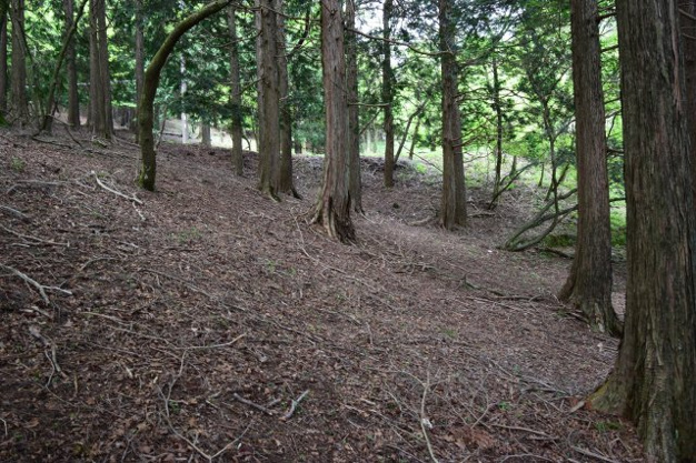 【外観】 | 東急天城高原別荘地　売地