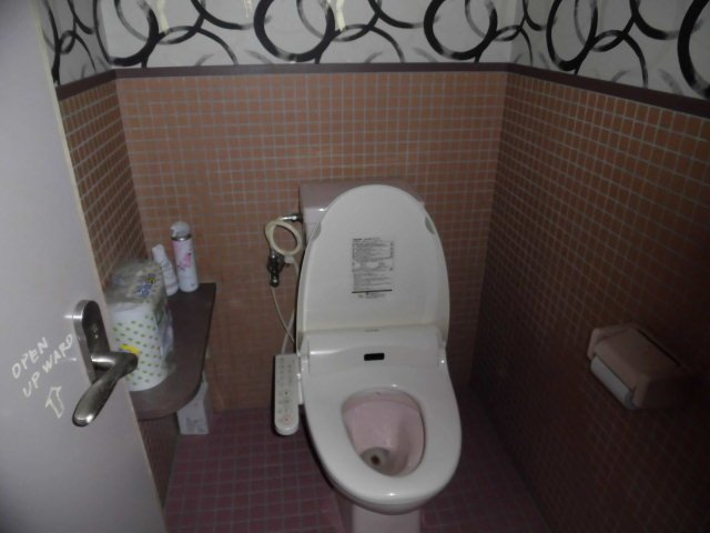 南明大寺町 銭堤ビルのトイレ