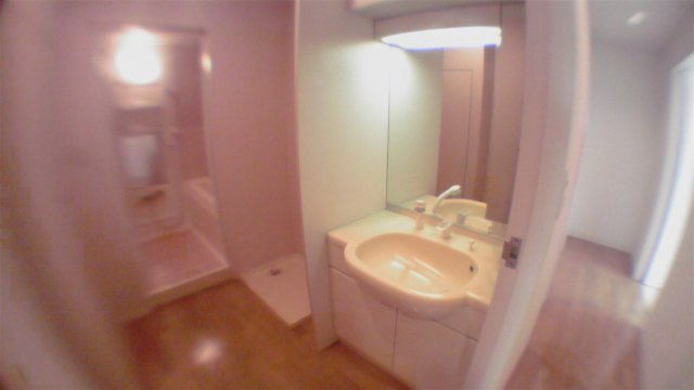 港区港南４丁目の賃貸マンションのその他|洗面