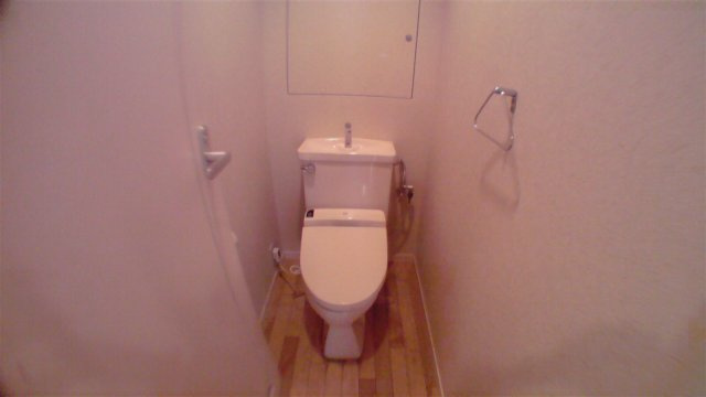 港区港南４丁目の賃貸マンションのその他|トイレ