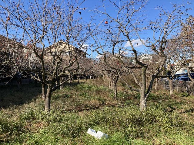 美合町 借地の庭