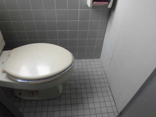 ほづみインテリアビルのトイレ