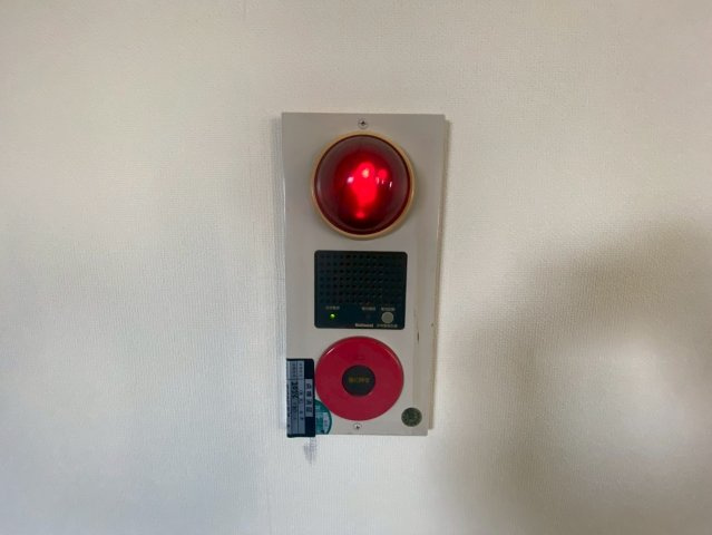 ピボット緒川のその他