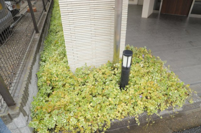 【庭】 | ダイアパレス八王子大和田 | 物件によっては、入居者が個人的に使用できる専用庭がついているものもあります。また、住宅の中にある土間の部分を庭と呼ぶこともあります。庭の用途は住む人によって変わり、それによってデザインもさまざまです。