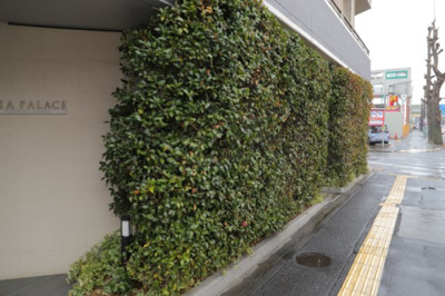 【中庭】 | ダイアパレス八王子大和田 | 中庭（パティオ）とは、一つの建築物の内部に設けられた、壁などで囲われている庭のことを指します。コの字型、ロの字型が主流ですが、L字型の中庭もあります。最近では、インテリア性の高さからも人気があります。