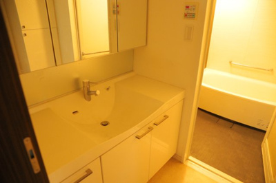 【独立洗面台】 | ダイアパレス八王子大和田 | 洗面化粧台では顔を洗ったり、身だしなみを整えることが本来の使い方ですが、用途によっては洗面化粧台に求められる機能が違ってくるため、ご自身や家族のライフスタイルに合ったものを選ぶことをおすすめ致します。