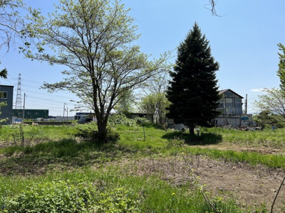 【外観】 | 北区新琴似町 | 現地写真（敷地内から）