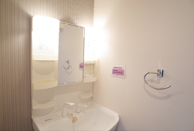 コージィコートの洗面所