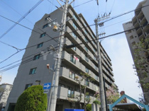 サンオーク巽の画像
