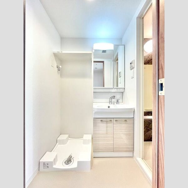 エスリード上前津LIVIAの洗面所