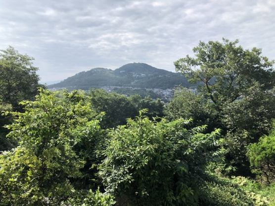 【展望】 | 伊東市川奈　売地