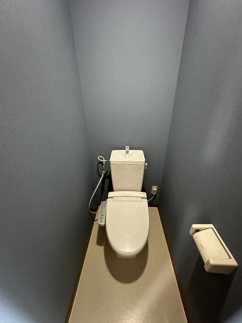 マイシティ303のトイレ|シンプルで使いやすいトイレです