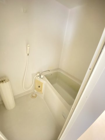 ディアスJaの浴室