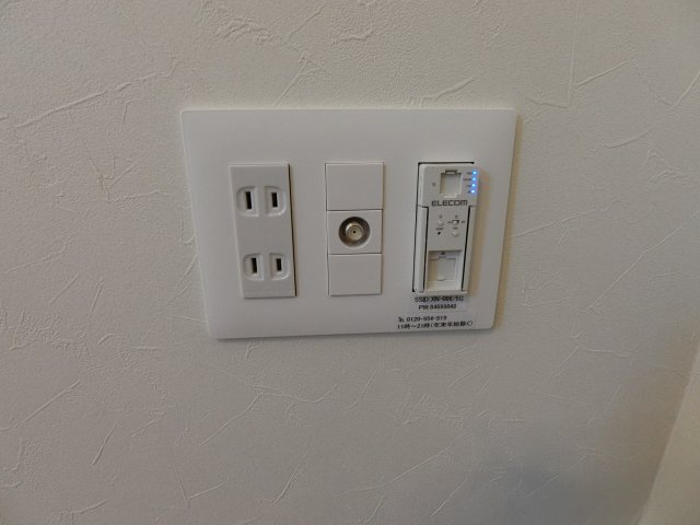 モンステラ子母口のその他