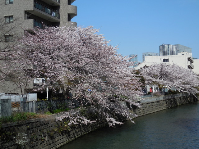 【庭】