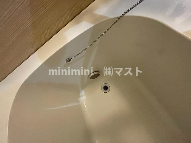 ブラウ上町台の浴室