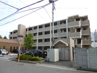 グリシーヌ朝霞の画像