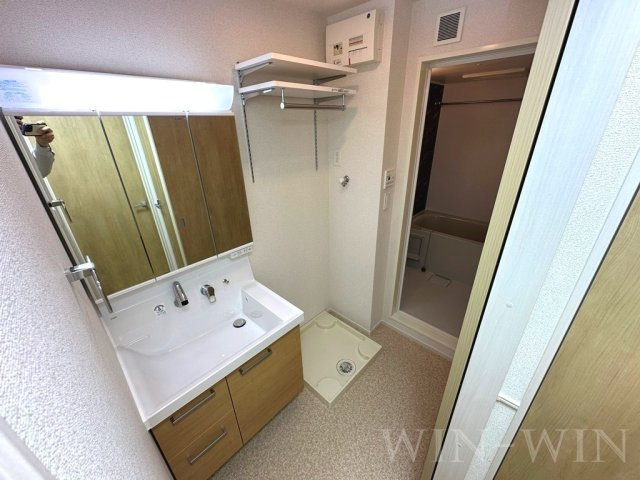 メゾンド シャロレー Ⅱの洗面所