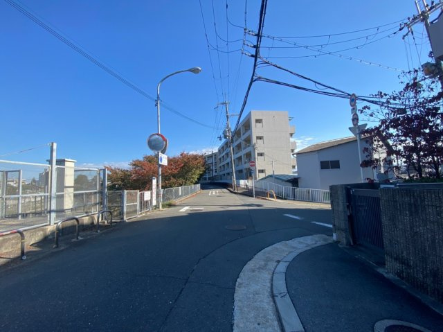 フルハウスの周辺