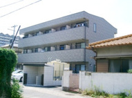 アンプルールフェールREALIFEの画像