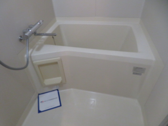 パレコスモス　Bの浴室