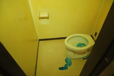 【トイレ】 | めじろ台ハイム | トイレは大きさや形、機能、抗菌性などが異なる多種多彩なタイプが各メーカーから出ています。それぞれに良さがあるため、事前にどういったタイプのトイレがいいのかをご家庭内で決めて、内見に行くといいでしょう。