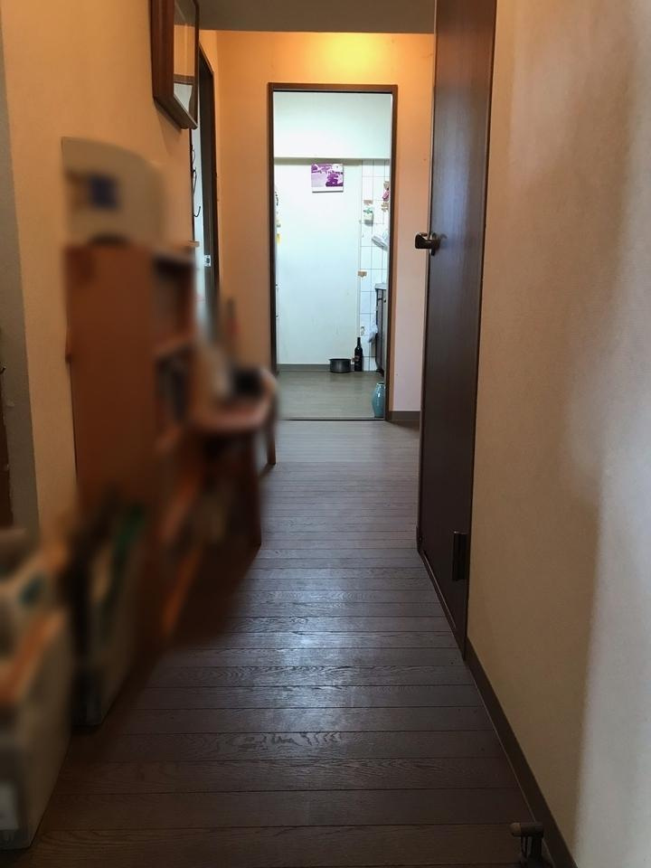 ダイアパレス追手前第3 の玄関