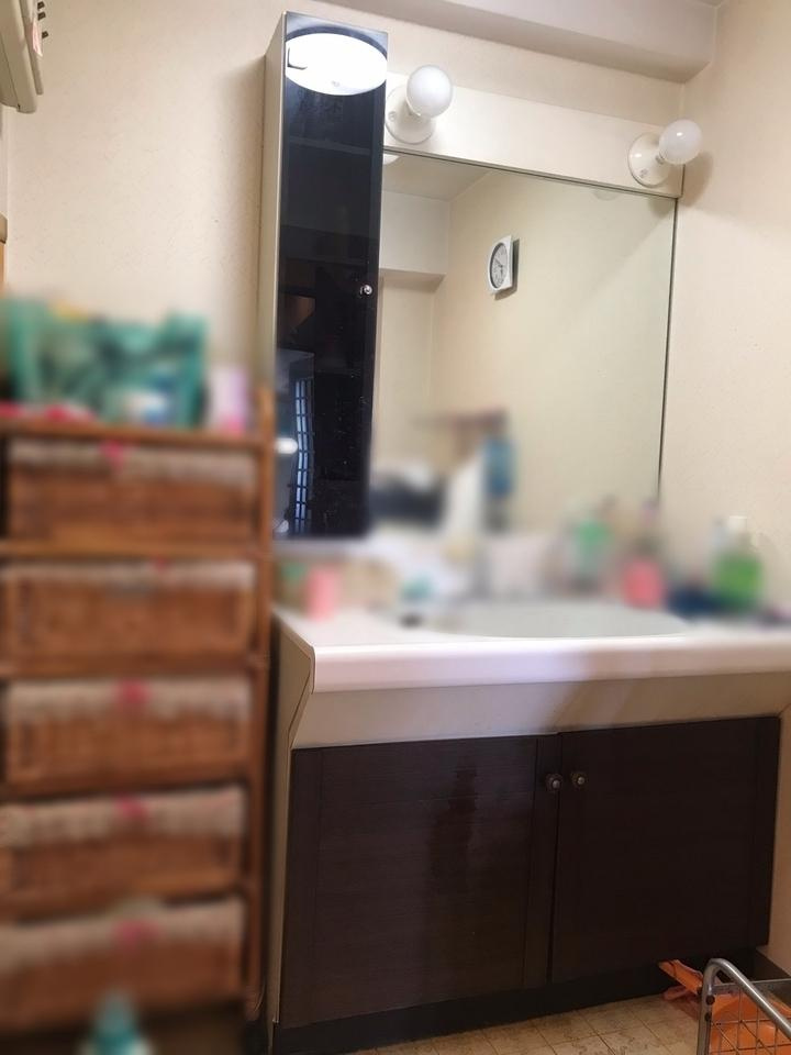 ダイアパレス追手前第3 の独立洗面台