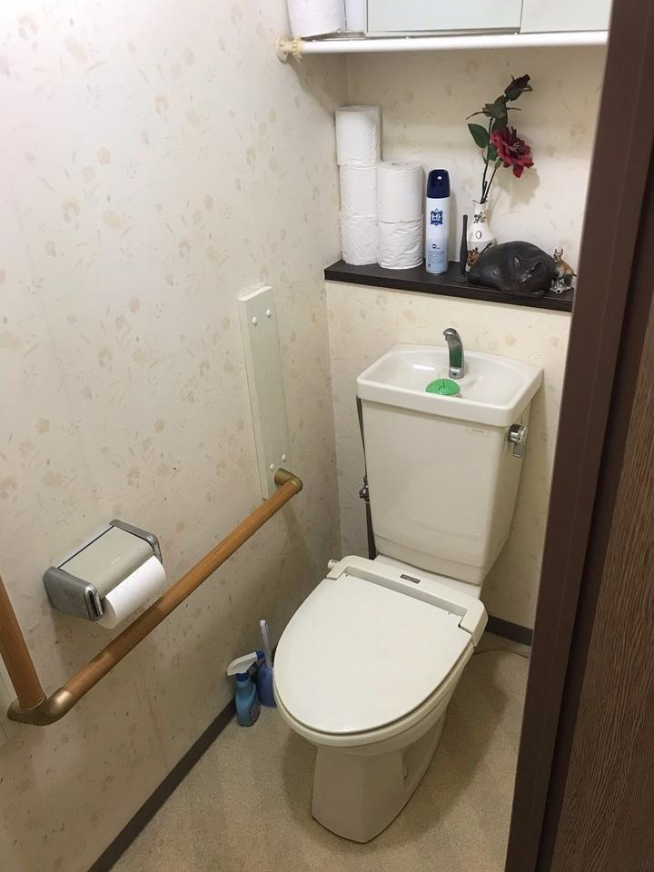 ダイアパレス追手前第3 のトイレ