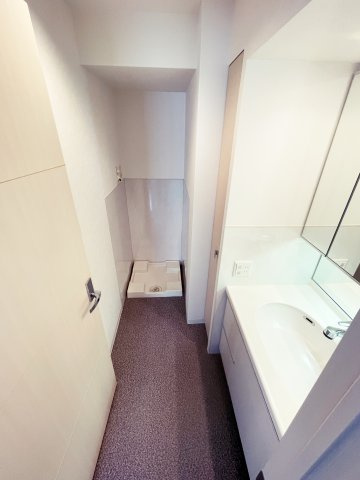 アルグラッド ザ・タワー心斎橋の洗面所