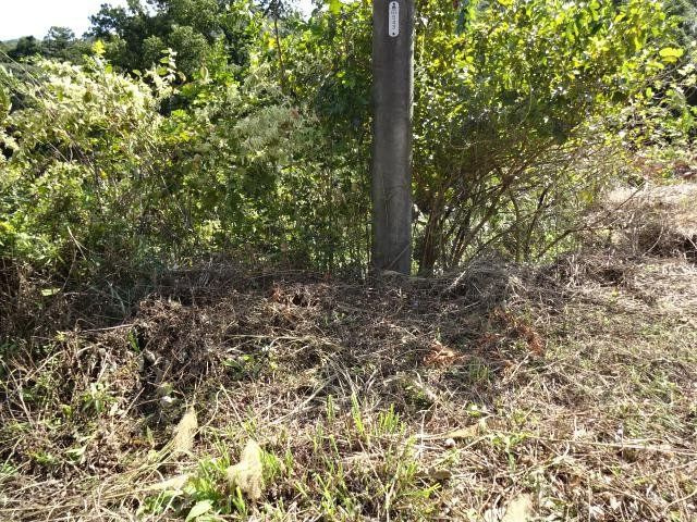 生平町甲出シ 借地の庭