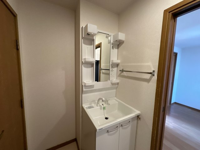 ファミール蓼野の洗面所