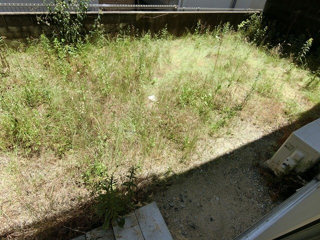 パールハイツの庭