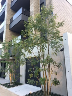 【その他共用部分】 | Ropponmatsu View Apartment