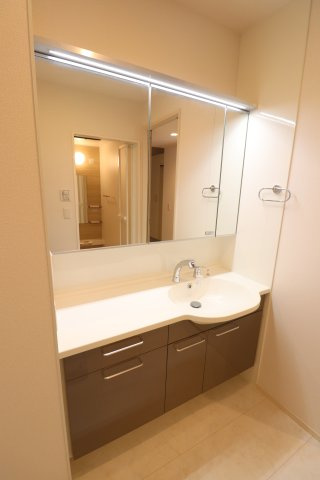 メゾン アイリスの洗面所