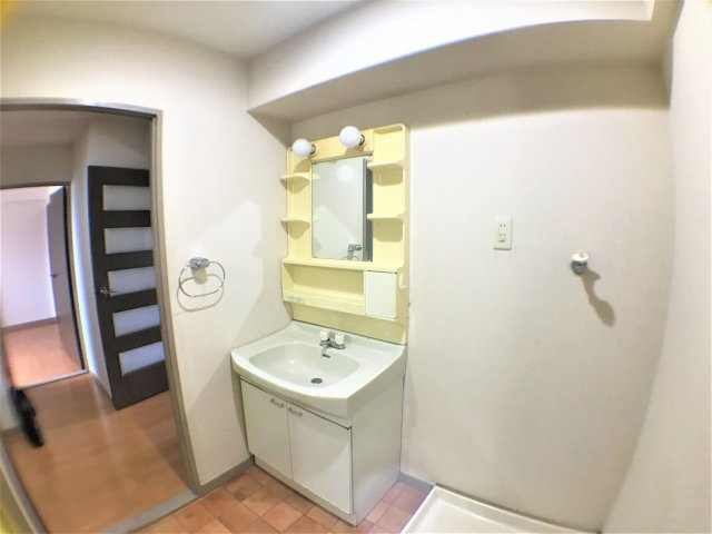 シャトレーミューズの洗面所