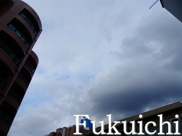 PASEO自由が丘（パセオジユウガオカ）の展望