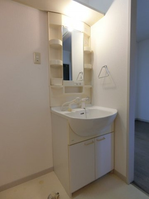 【独立洗面台】 | エクセランルミエールB棟 | C102の写真（イメージ画像）