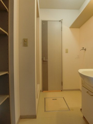 【洗面所】 | エクセランルミエールB棟 | C102の写真（イメージ画像）